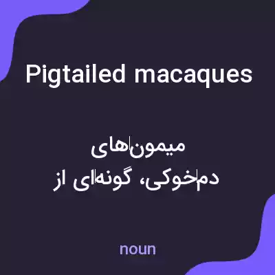 معنی pigtailed macaques به فارسی معنی pigtailed macaques به فارسی
