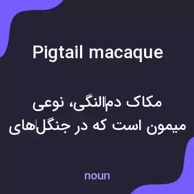 معنی pigtail macaque به فارسی معنی pigtail macaque به فارسی