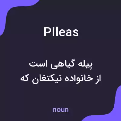 معنی pileas به فارسی معنی pileas به فارسی