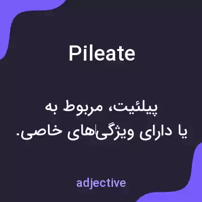 معنی pileate به فارسی معنی pileate به فارسی