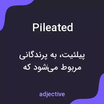 معنی pileated به فارسی معنی pileated به فارسی