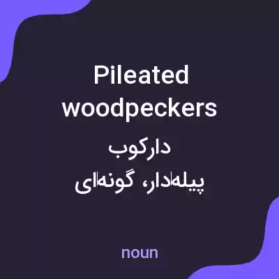 معنی pileated woodpeckers به فارسی معنی pileated woodpeckers به فارسی
