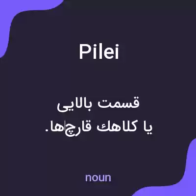 معنی pilei به فارسی معنی pilei به فارسی
