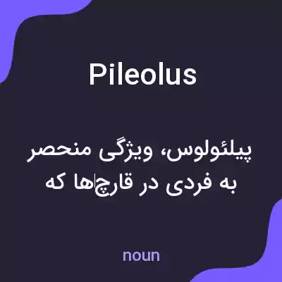 معنی pileolus به فارسی معنی pileolus به فارسی