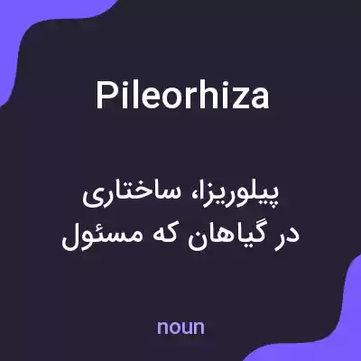معنی pileorhiza به فارسی معنی pileorhiza به فارسی