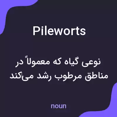 معنی pileworts به فارسی