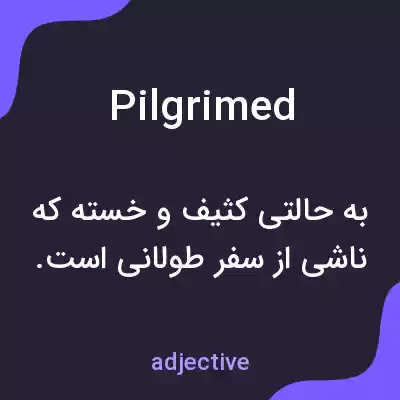 معنی pilgrimed به فارسی معنی pilgrimed به فارسی