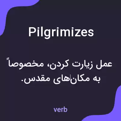 معنی pilgrimizes به فارسی