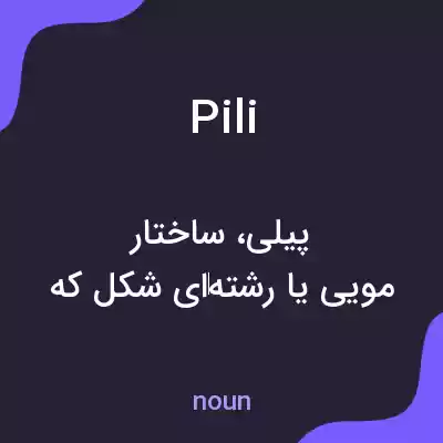 معنی pili به فارسی معنی pili به فارسی