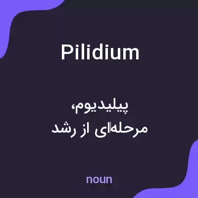 معنی pilidium به فارسی معنی pilidium به فارسی