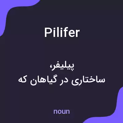 معنی pilifer به فارسی معنی pilifer به فارسی