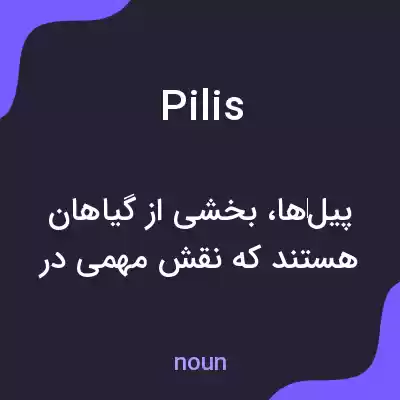 معنی pilis به فارسی معنی pilis به فارسی