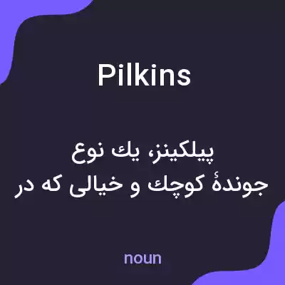 معنی pilkins به فارسی معنی pilkins به فارسی