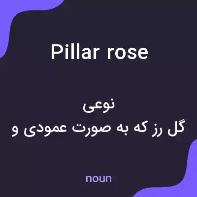 معنی pillar rose به فارسی