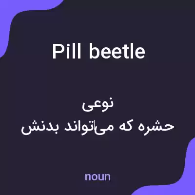 معنی pill beetle به فارسی