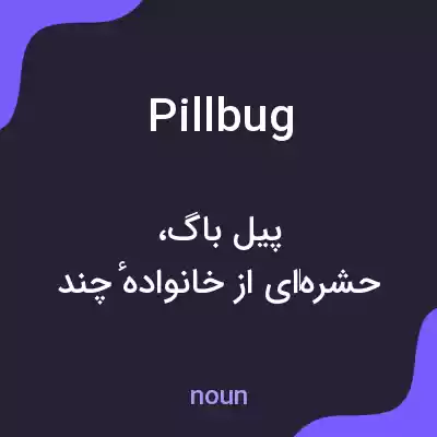 معنی pill bug به فارسی معنی pill bug به فارسی