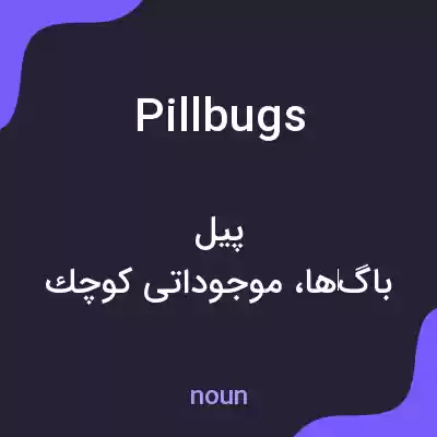 معنی pillbugs به فارسی معنی pillbugs به فارسی