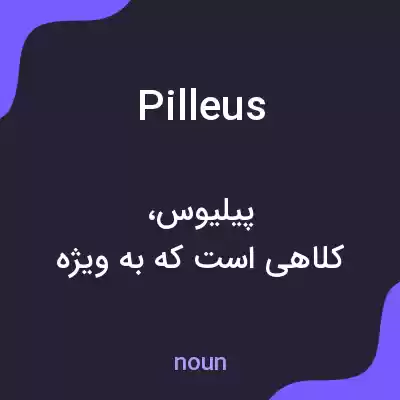 معنی pilleus به فارسی معنی pilleus به فارسی