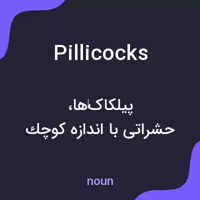 معنی pillicocks به فارسی معنی pillicocks به فارسی
