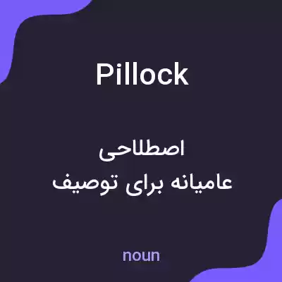 معنی pillock به فارسی معنی pillock به فارسی