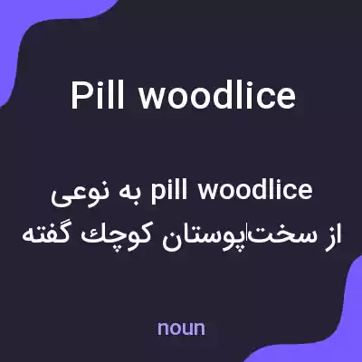 معنی pill woodlice به فارسی