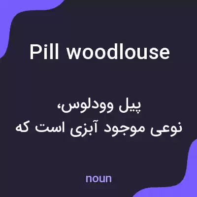 معنی pill woodlouse به فارسی معنی pill woodlouse به فارسی