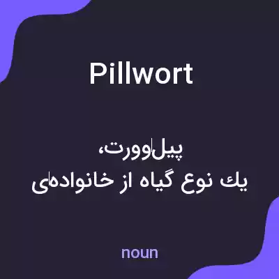 معنی pillwort به فارسی معنی pillwort به فارسی