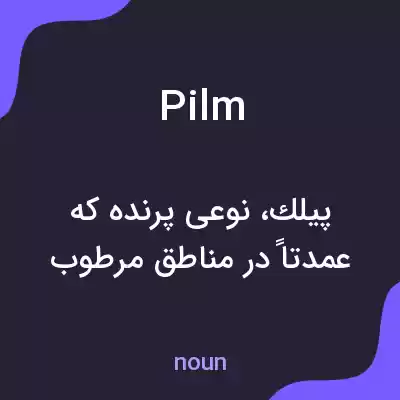 معنی pilm به فارسی معنی pilm به فارسی