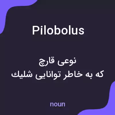معنی pilobolus به فارسی معنی pilobolus به فارسی