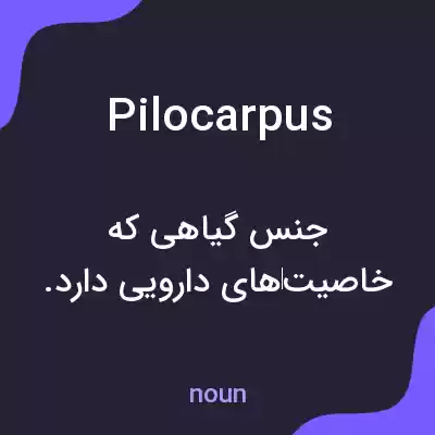 معنی pilocarpus به فارسی