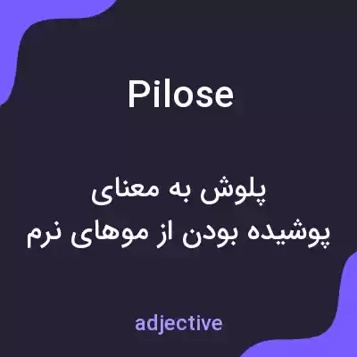 معنی pilose به فارسی