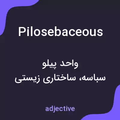معنی pilosebaceous به فارسی معنی pilosebaceous به فارسی