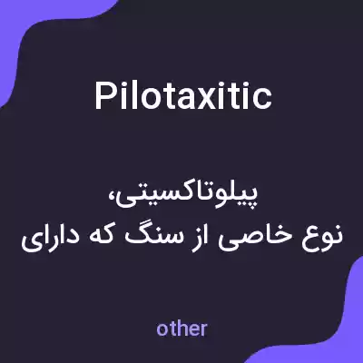 معنی pilotaxitic به فارسی معنی pilotaxitic به فارسی