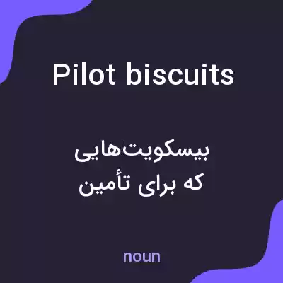 معنی pilot biscuits به فارسی معنی pilot biscuits به فارسی