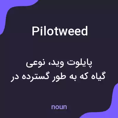 معنی pilotweed به فارسی معنی pilotweed به فارسی