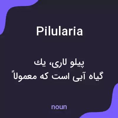 معنی pilularia به فارسی معنی pilularia به فارسی