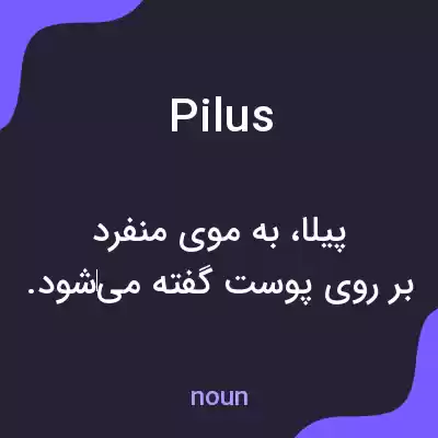 معنی pilus به فارسی معنی pilus به فارسی