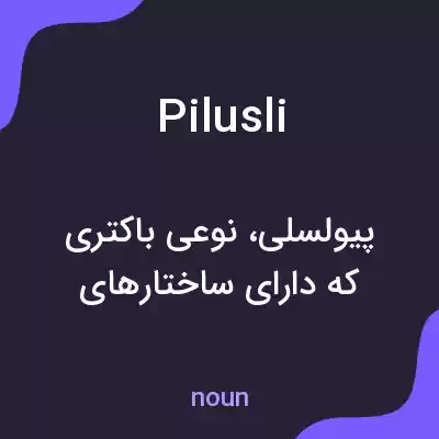 معنی pilusli به فارسی معنی pilusli به فارسی