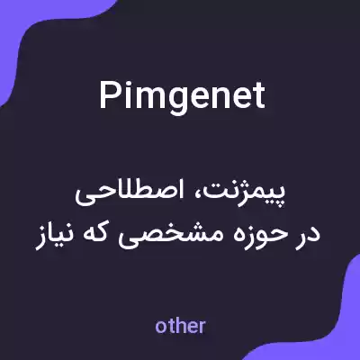 معنی pimgenet به فارسی معنی pimgenet به فارسی