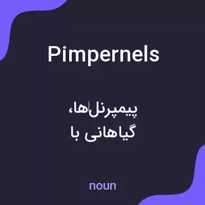 معنی pimpernels به فارسی معنی pimpernels به فارسی