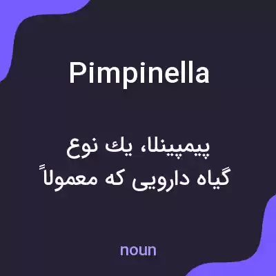 معنی pimpinella به فارسی