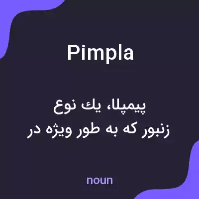 معنی pimpla به فارسی