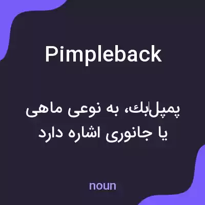 معنی pimpleback به فارسی معنی pimpleback به فارسی