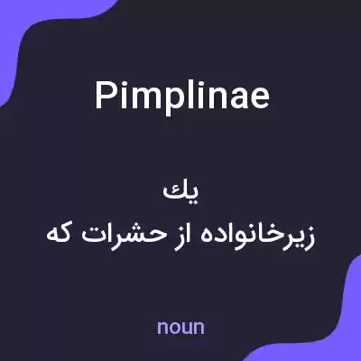 معنی pimplinae به فارسی معنی pimplinae به فارسی