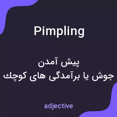 معنی pimpling به فارسی معنی pimpling به فارسی