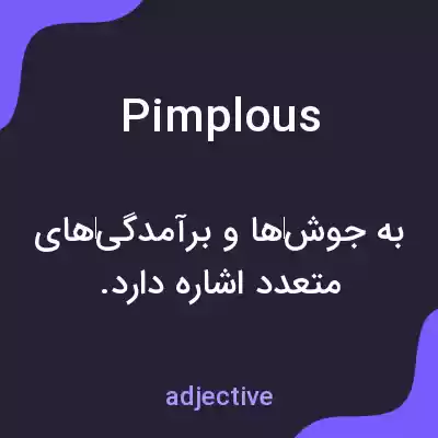 معنی pimplous به فارسی معنی pimplous به فارسی