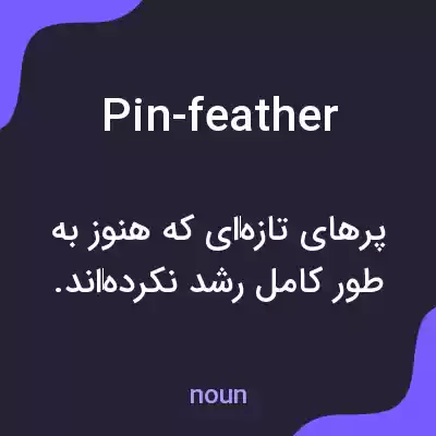 معنی pin-feather به فارسی معنی pin-feather به فارسی