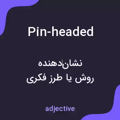 معنی pin-headed به فارسی معنی pin-headed به فارسی