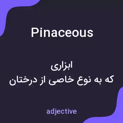 معنی pinaceous به فارسی معنی pinaceous به فارسی