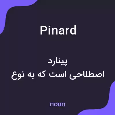 معنی pinard به فارسی معنی pinard به فارسی